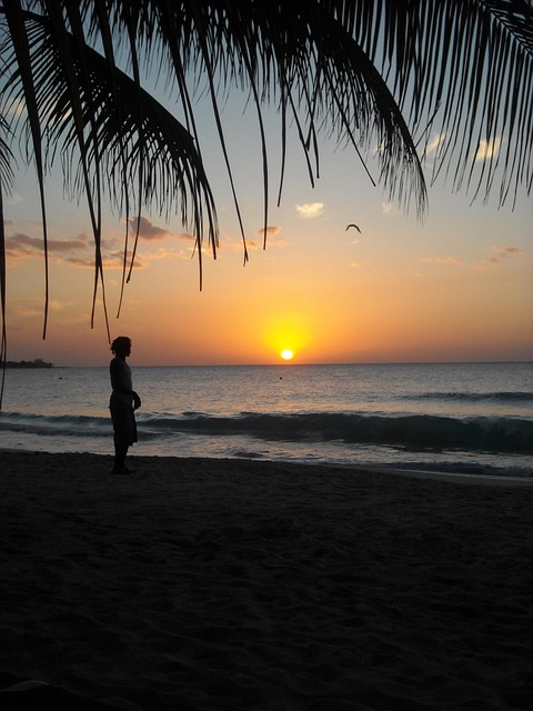 Free Jamaica Sunset photo and picture