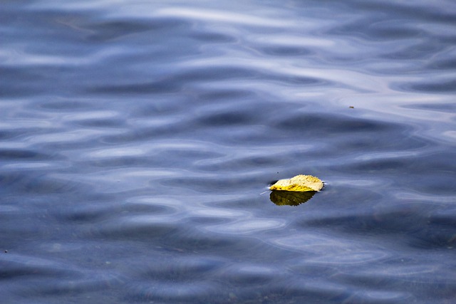 Free Lake Water photo and picture