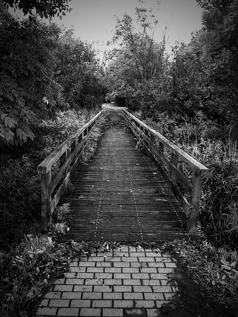 Free Bridge Wooden Bridge photo and picture
