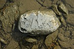 stones, shales, shungite