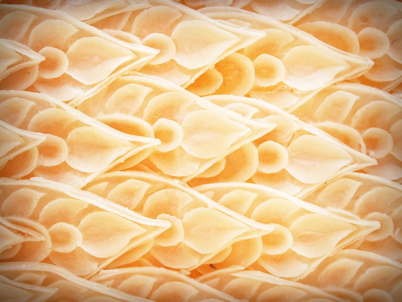 Pattern - free online jigsaw puzzle photo