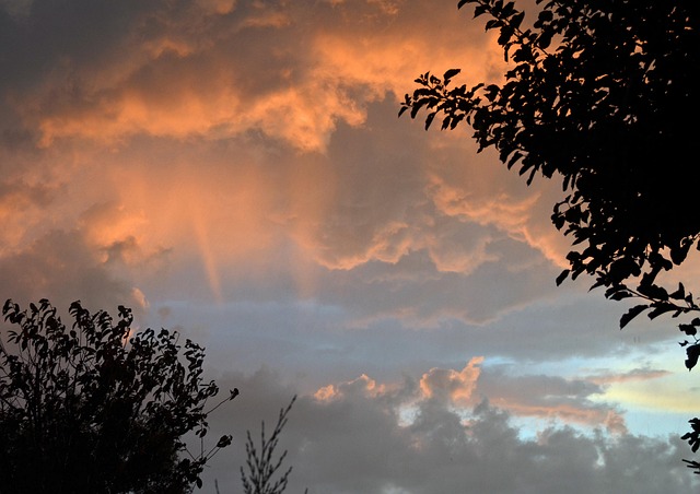 Free Evening Sun Heaven photo and picture