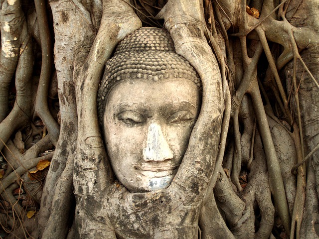 Free Ayutthaya Thailand photo and picture