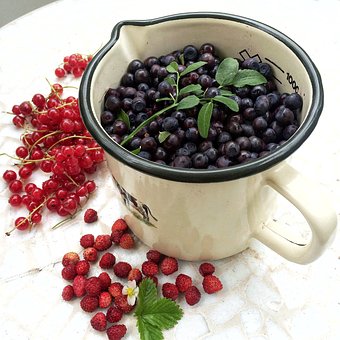 Berry, Organic Blueberries, Nature