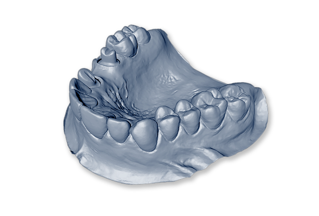 Free isolated tooth model lower jaw illustration
