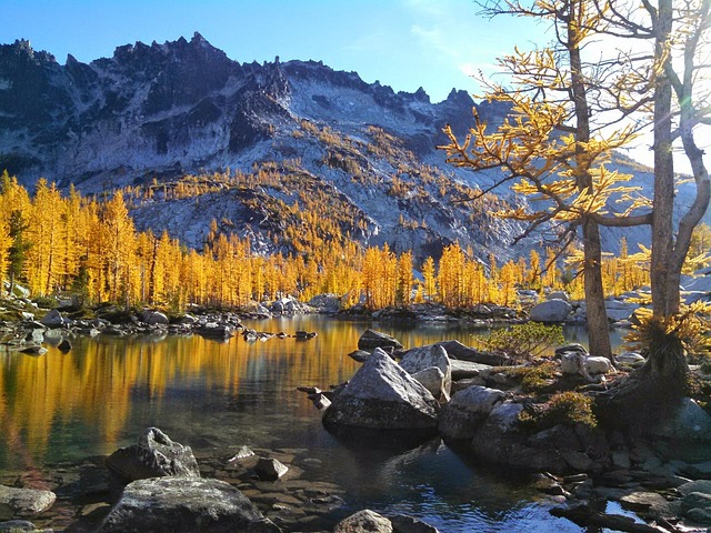Free Mountain Lake photo and picture