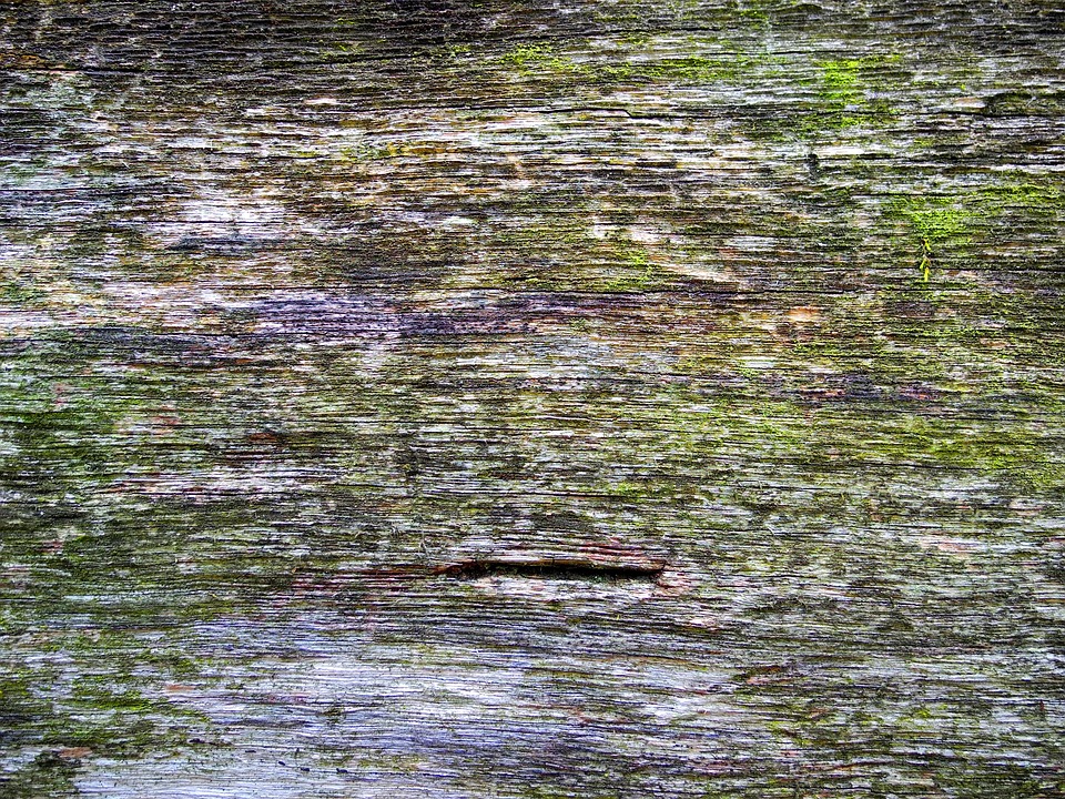 Wood Old Texture - Free photo on Pixabay - Pixabay