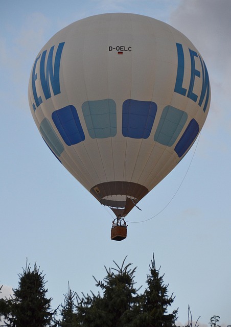 Free Hot Air Balloon Aircraft photo and picture