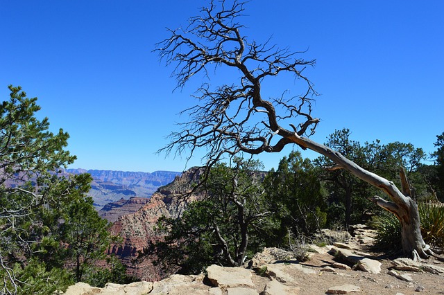 Free Grand Canyon Desert photo and picture