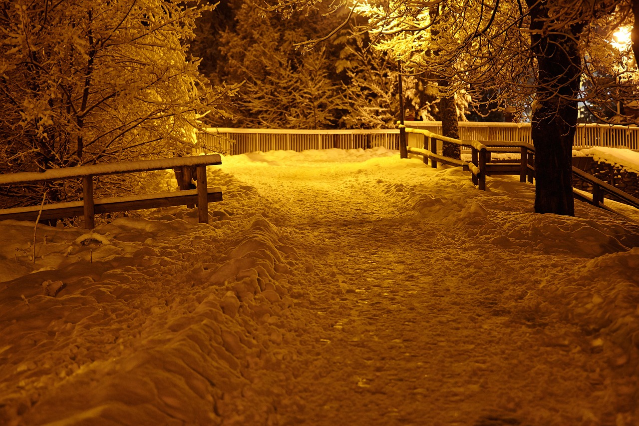 Chamonix Snowfall Snow Free photo on Pixabay Pixabay