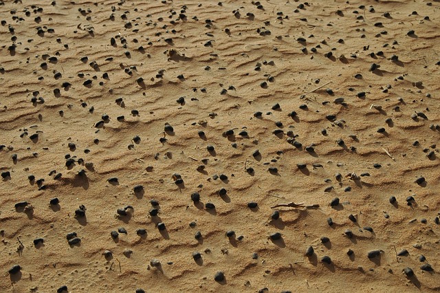 Free Sand Nature photo and picture