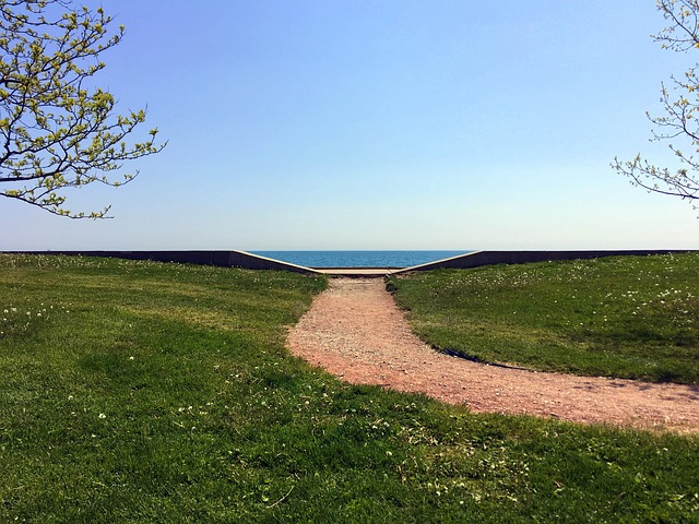 Free Path Green photo and picture