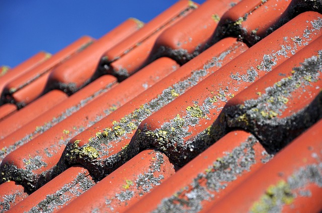 Free Roof Roof Tiles photo and picture