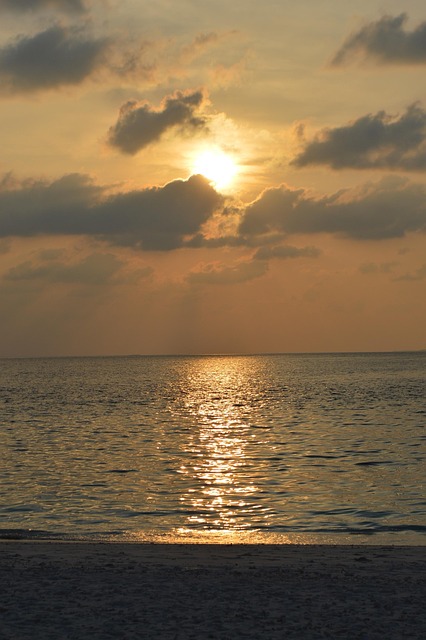 Free Sea Sunset photo and picture