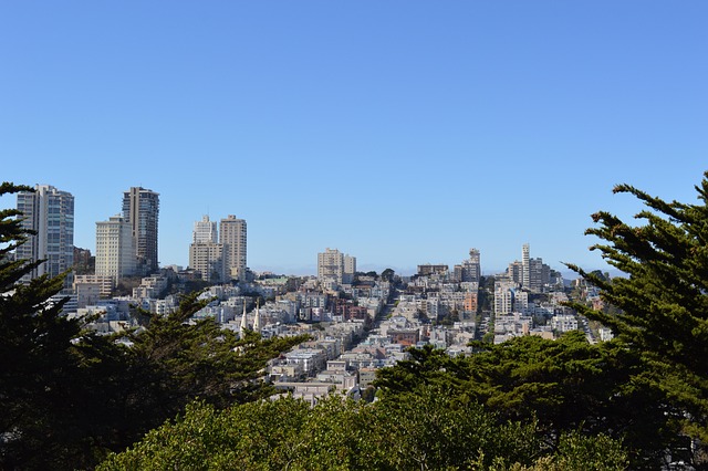 Free Landscape Skyline photo and picture