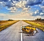 toad, road, big