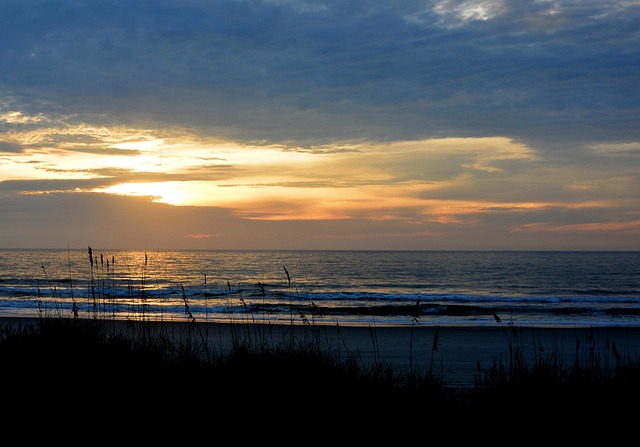 Free Myrtle Beach photo and picture