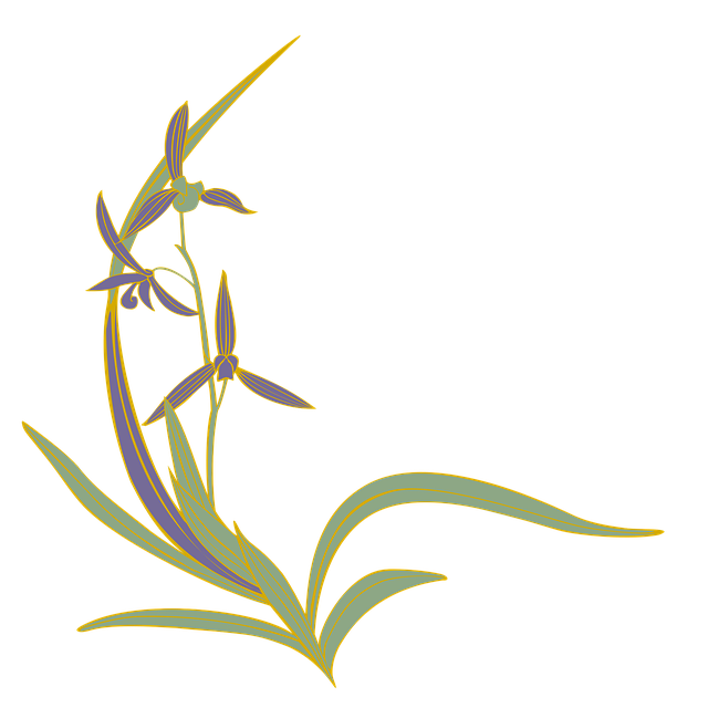 Download free HD stock image of Orchid Oriental Orchid Free orchid oriental orchid nature illustration