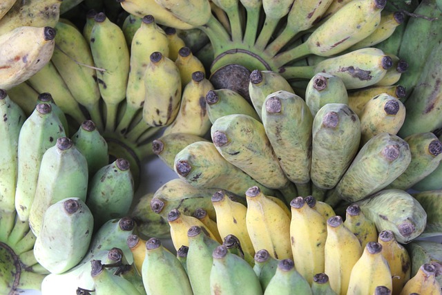 Free Banana Cultivated Banana photo and picture