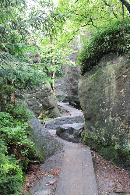 Errant Rocks, Kudowa Zdrój, Nationalpark