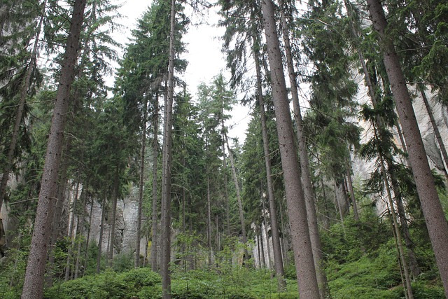 Adrspach, Rock By, Teplicke Stenet