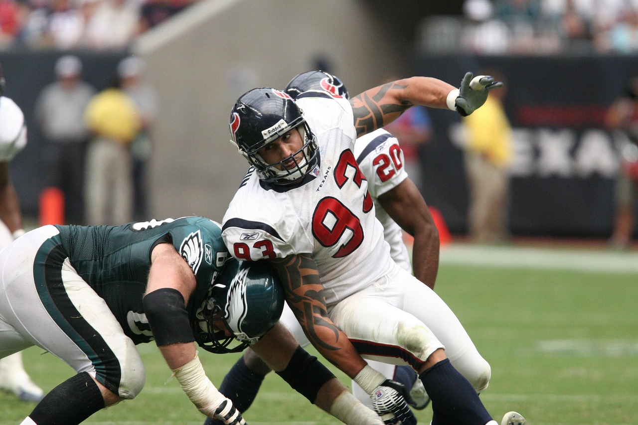 NFL Playoff Action