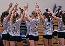 volleyballfans-volleyball-kostenloses-foto-auf-pixabay