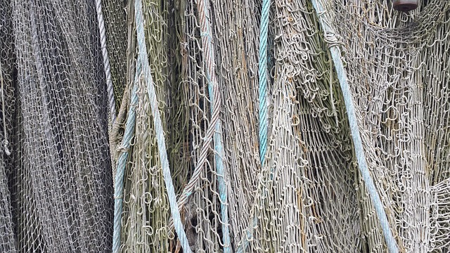 Free Web Fishing Net photo and picture