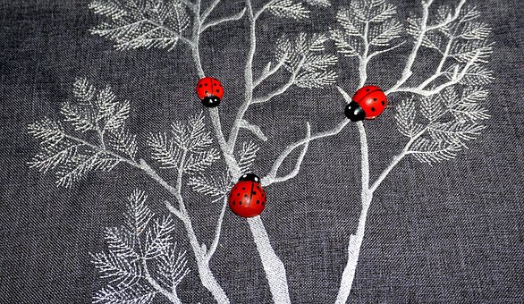 Insects, Ladybug, Red, Small, Animals