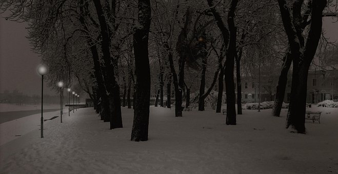 Free Park Winter photo and picture