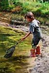 fish, river, boy