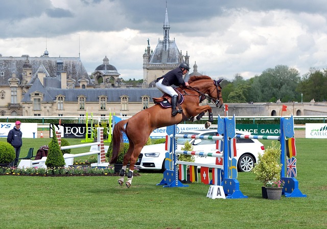 Free Chantilly Leap photo and picture