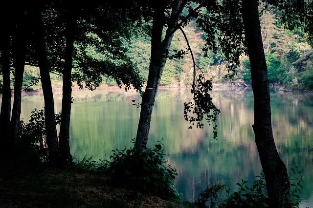 Kontraster, Sø, Baggrundsbelysning