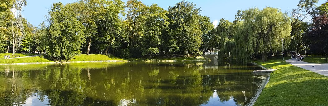Free Park Green photo and picture