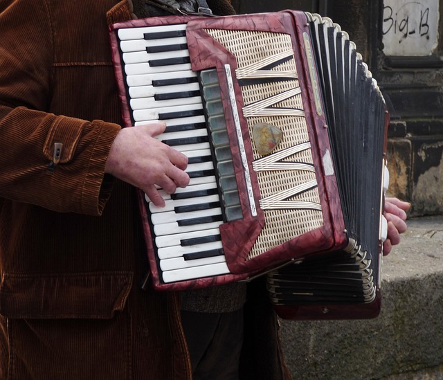 Accordion Harmony Playing Free photo on Pixabay