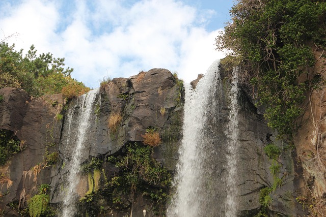 Free Jeju Island Waterfall photo and picture