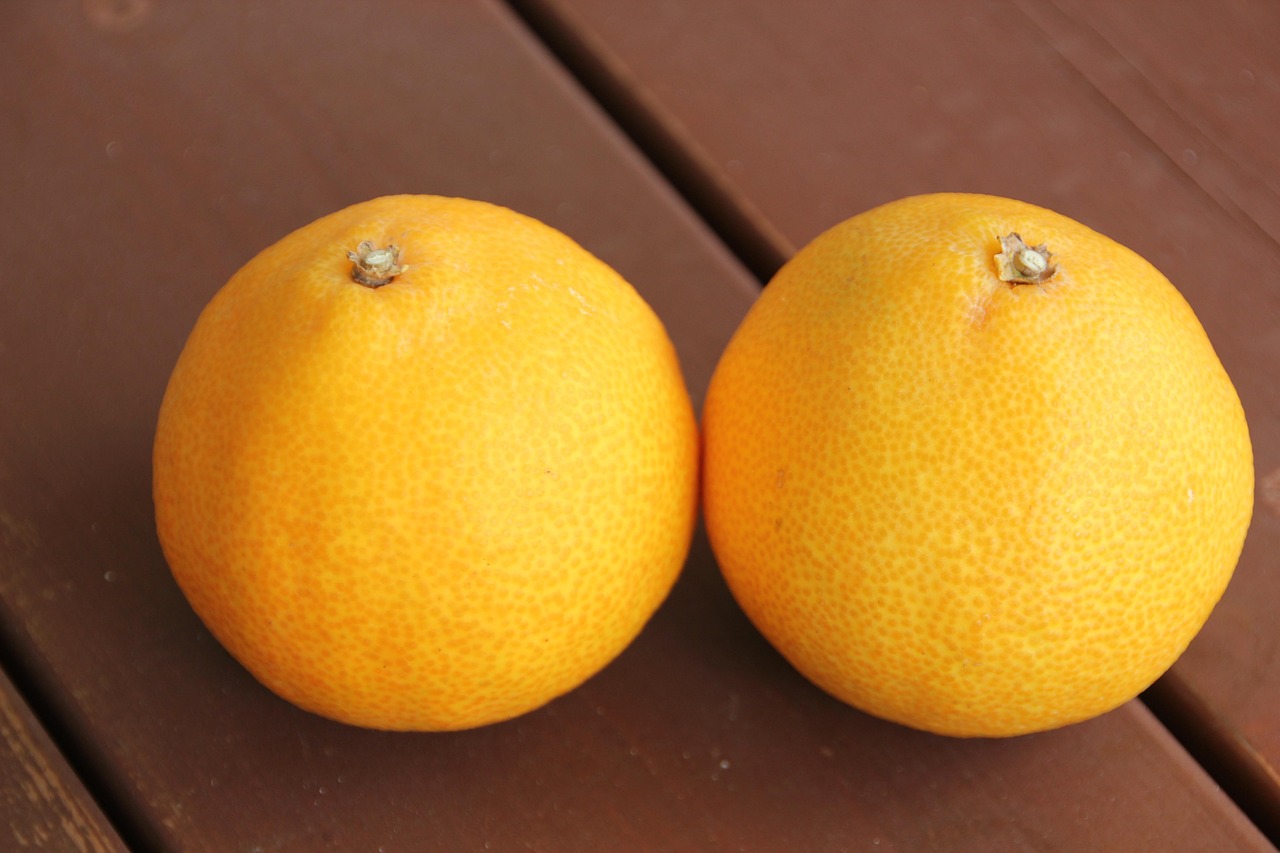 Jeju Island Cheon Hye-Hyang Citrus - Free photo on Pixabay