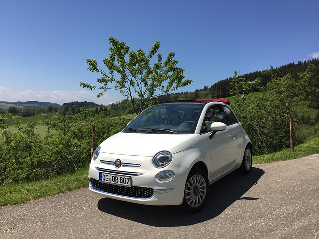 Free Fiat Convertible photo and picture