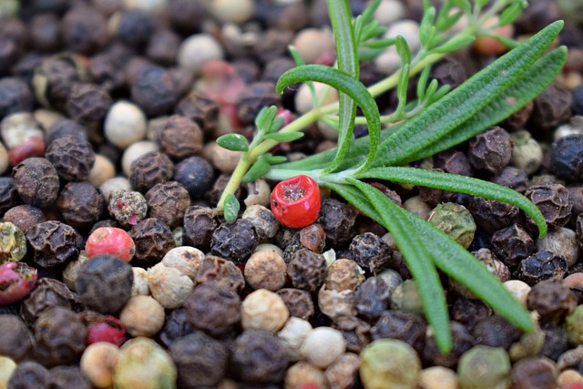 Free Pepper Peppercorns photo and picture
