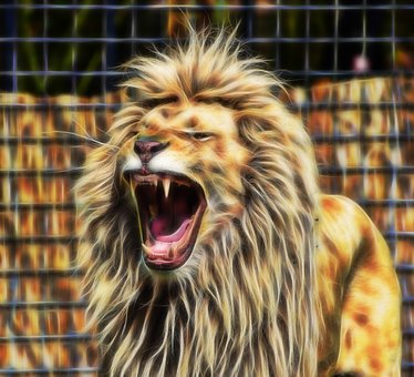 Free Lion Animal illustration and picture