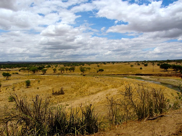 Free Landscape Colorful photo and picture