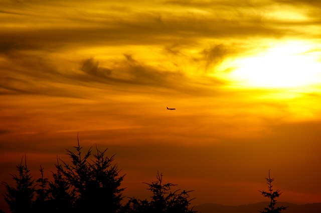 Fly, Sunset, Solnedgang, Skumring