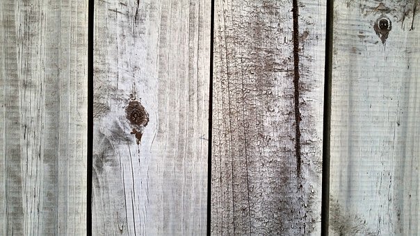 Free Wood Texture photo and picture
