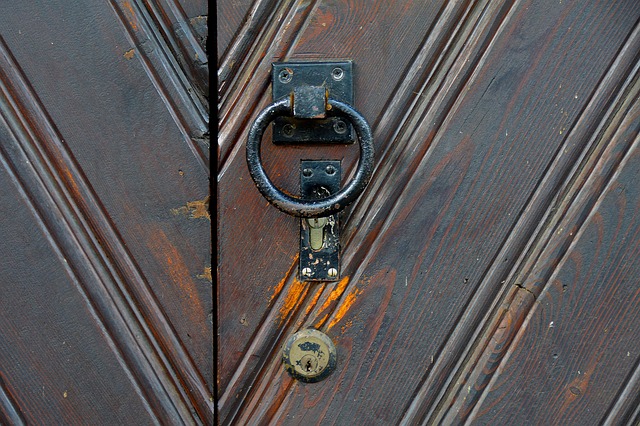 Free Door Knocker Door photo and picture