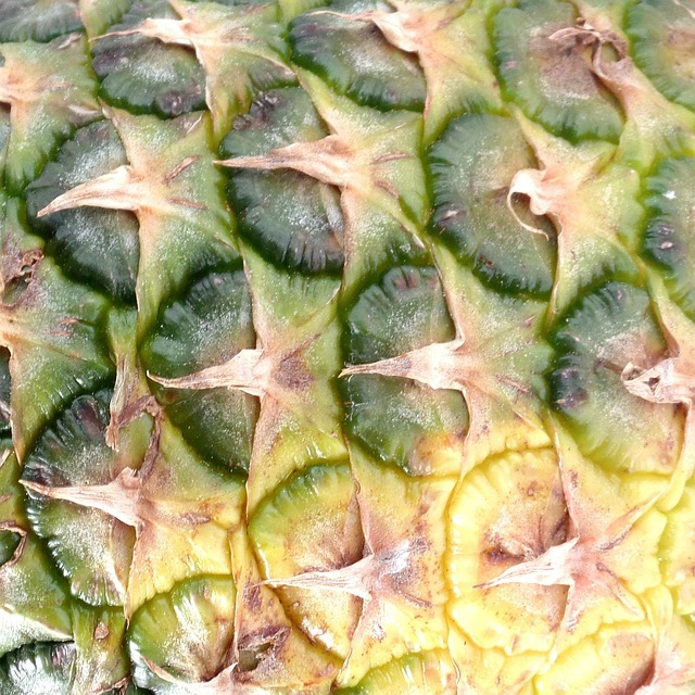 Free Pineapple Fruit photo and picture