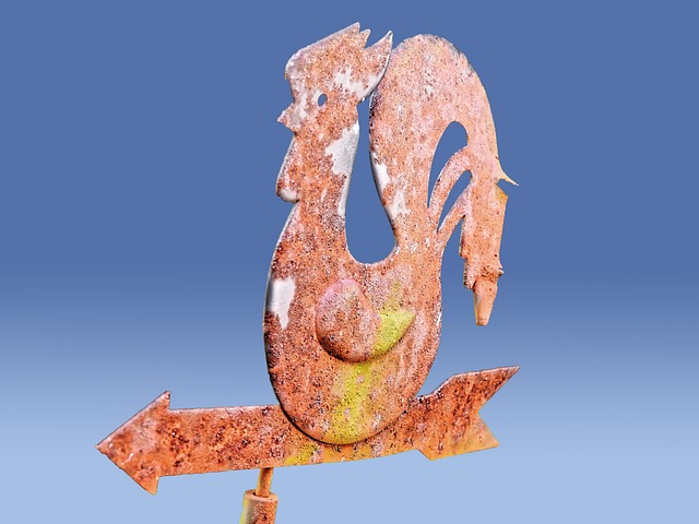 Free Weathercock Faucet photo and picture