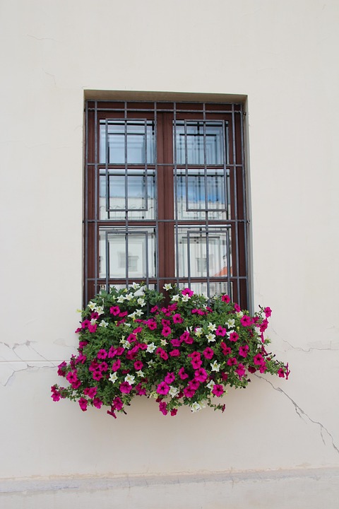 Gratis foto: Fönster, Blomma Rutan, Dekoration - Gratis bild på ...