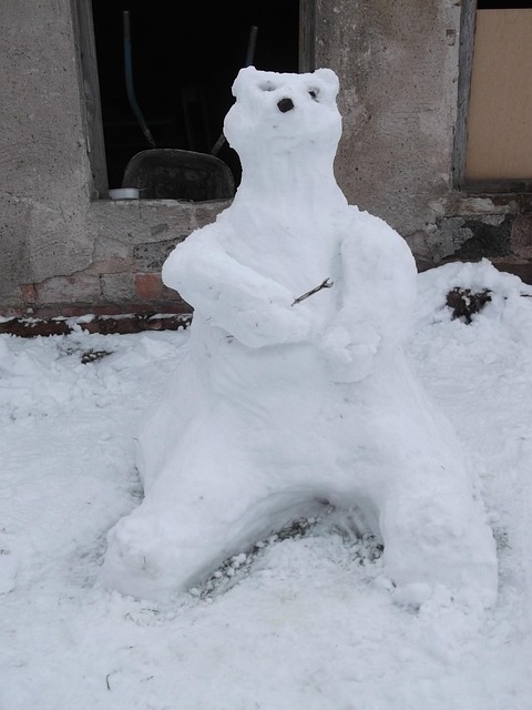 Suporta, Zăpadă, Iarnă, Muncă, Îngheţ