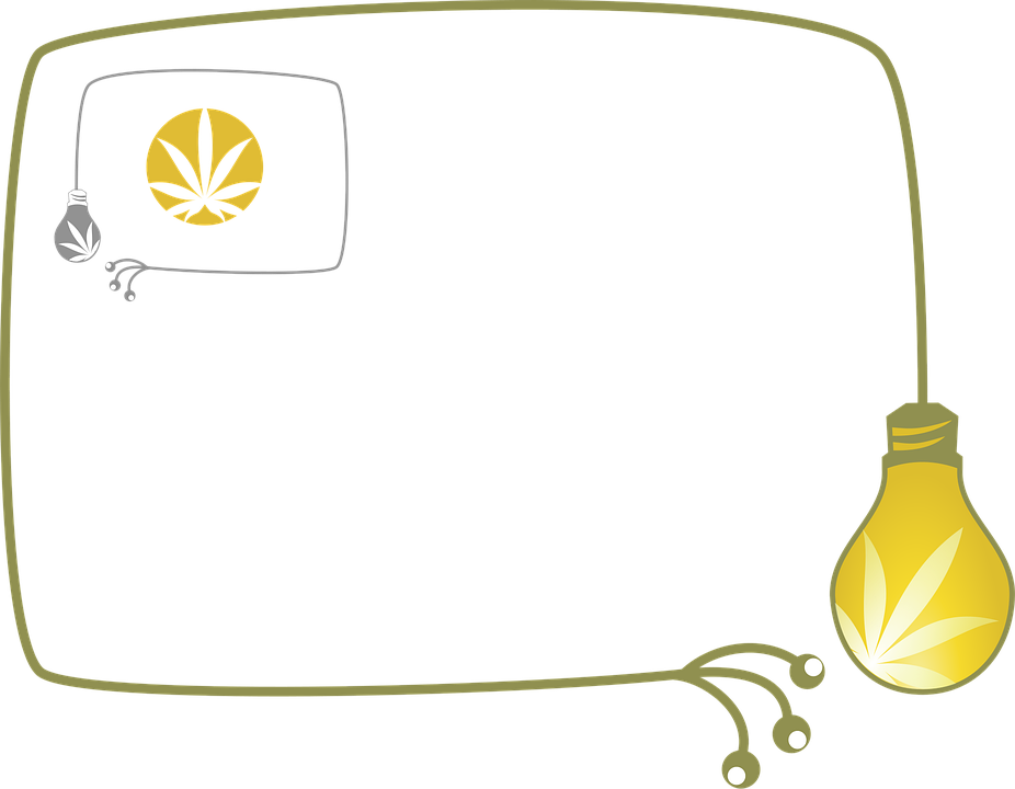 Por qué algunas hojas de tu planta son amarillas