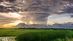 nature, sky, green